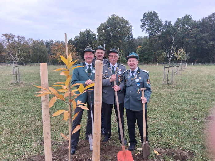 Baumpflanzen Baumpflanzen